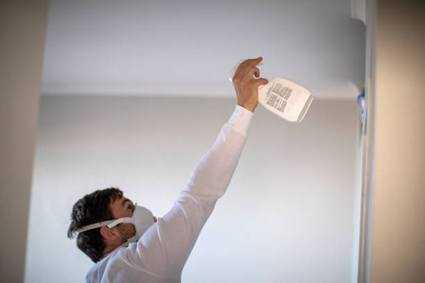 Best Kitchen Mold Remediation in Myrtle Creek, OR