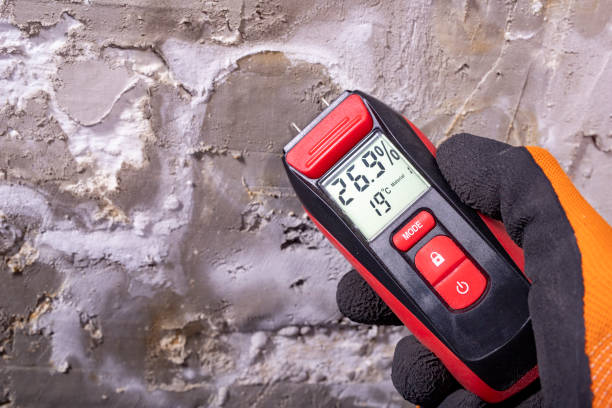 Best Bathroom Mold Remediation in Myrtle Creek, OR
