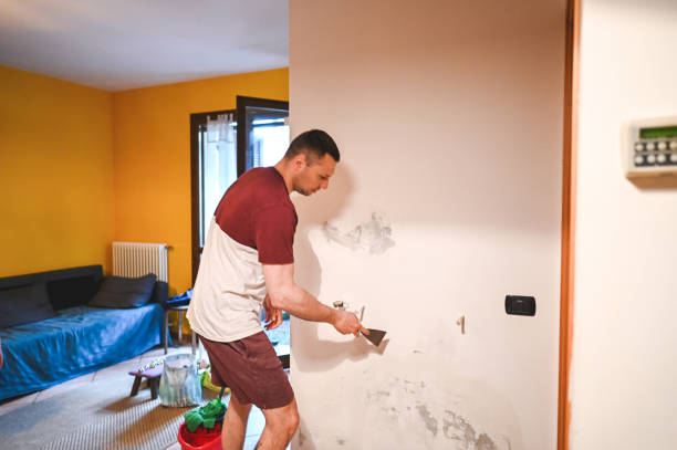 Best Health and Safety Mold Remediation in Myrtle Creek, OR